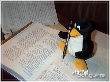 Pocket does homework!