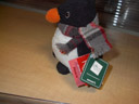 It's Penkie!